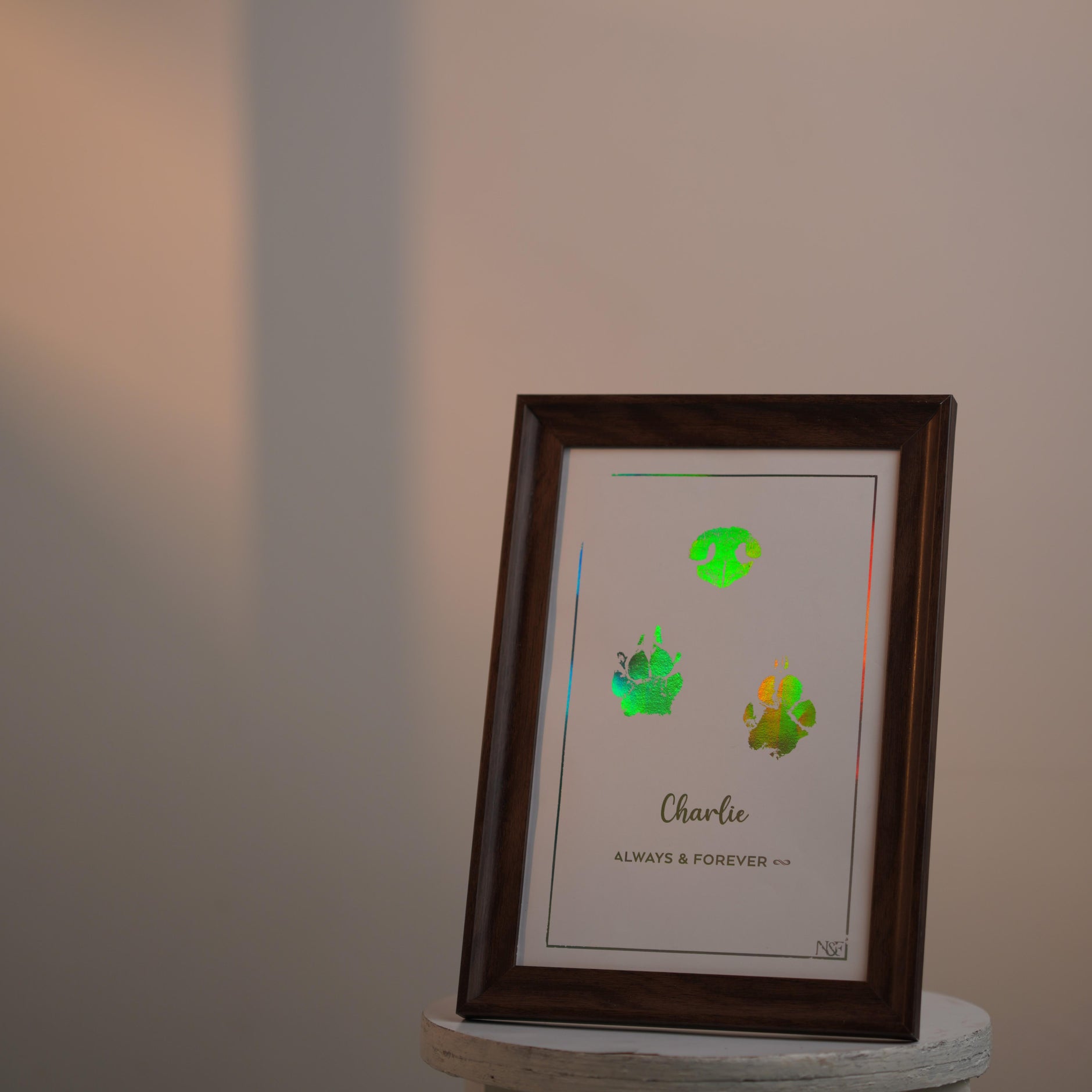 Paw Metallic Imprints Frame for Pets - Kit Included – Now & Forever ...