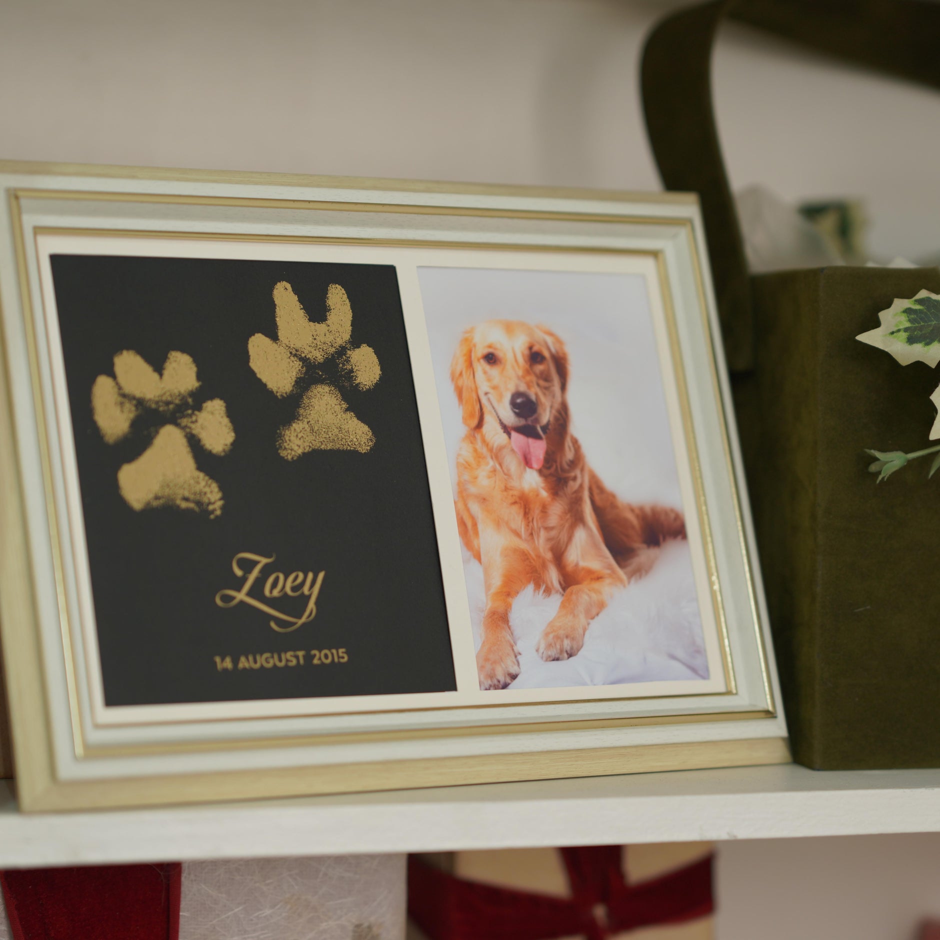 Paw Metallic Imprints Frame for Pets - Kit Included – Now & Forever ...