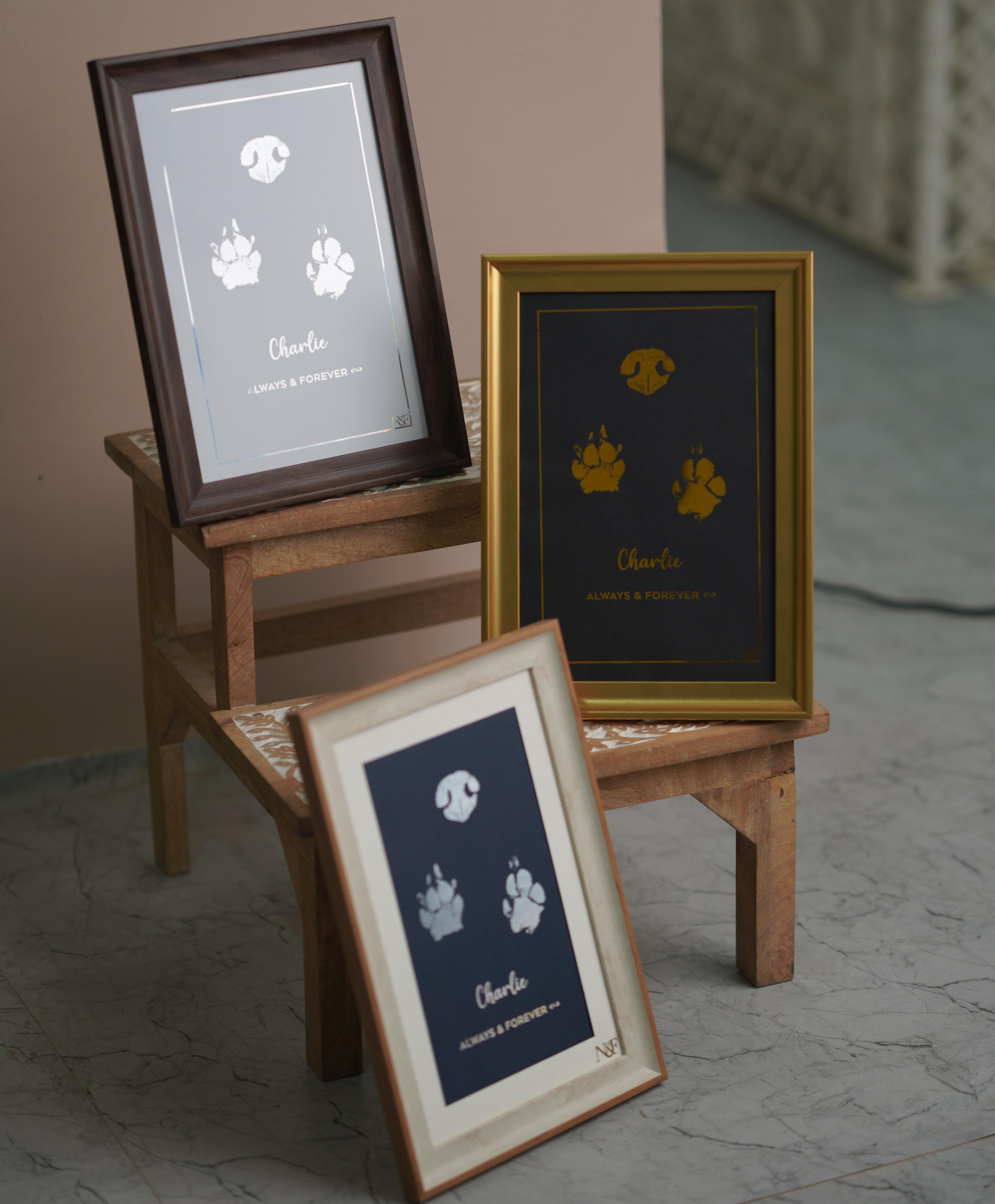 Paw Metallic Imprints Frame for Pets - Kit Included