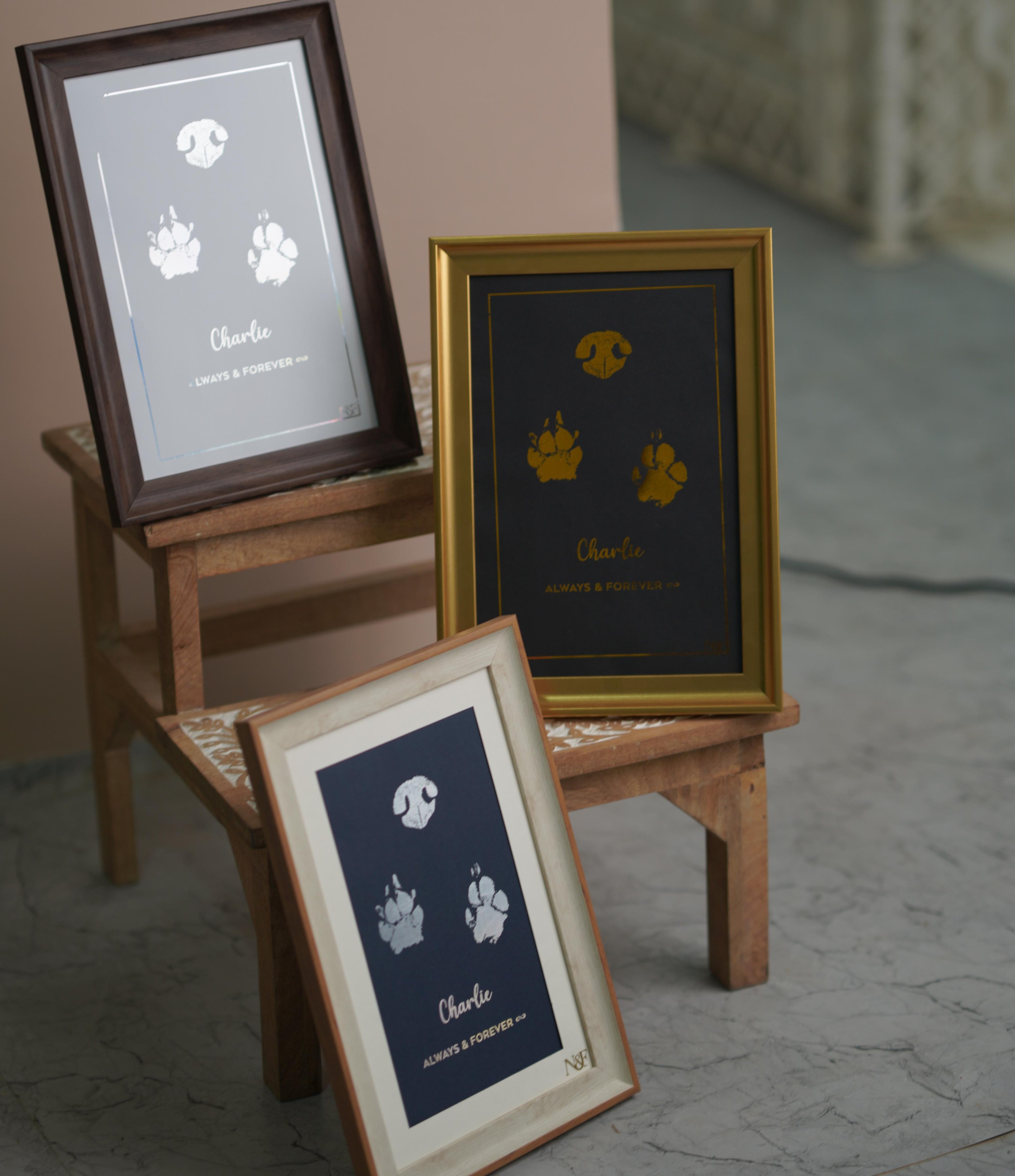 Paw Metallic Imprints Frame for Pets - Kit Included
