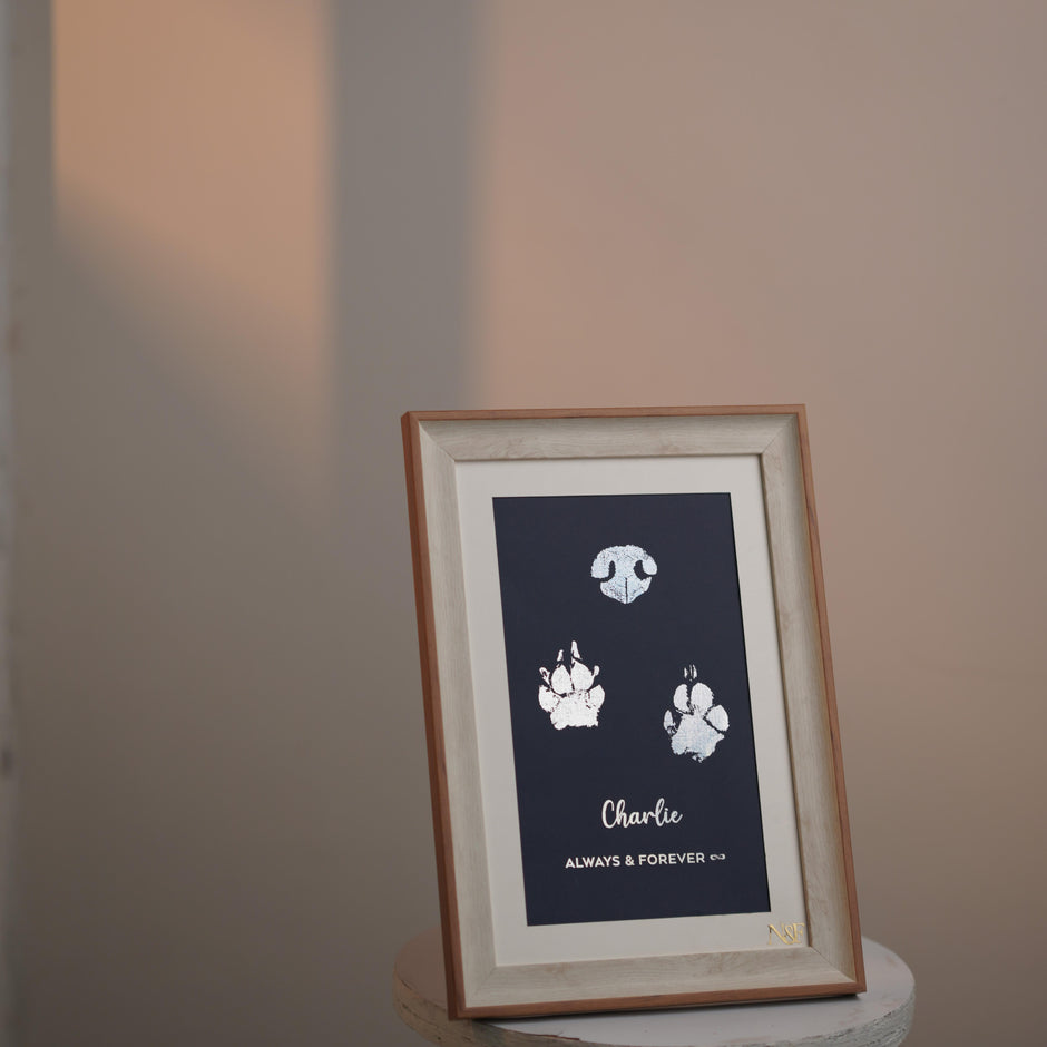 Paw Metallic Imprints Frame for Pets - Kit Included
