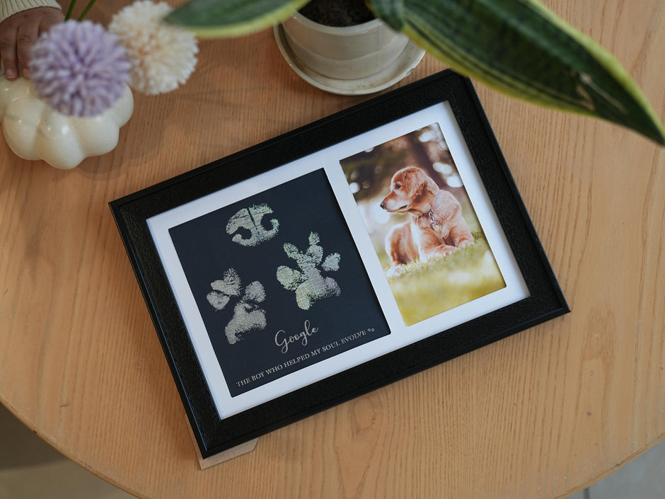 Paw Metallic Imprints Frame for Pets - Kit Included