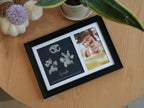 Paw Metallic Imprints Frame for Pets - Kit Included
