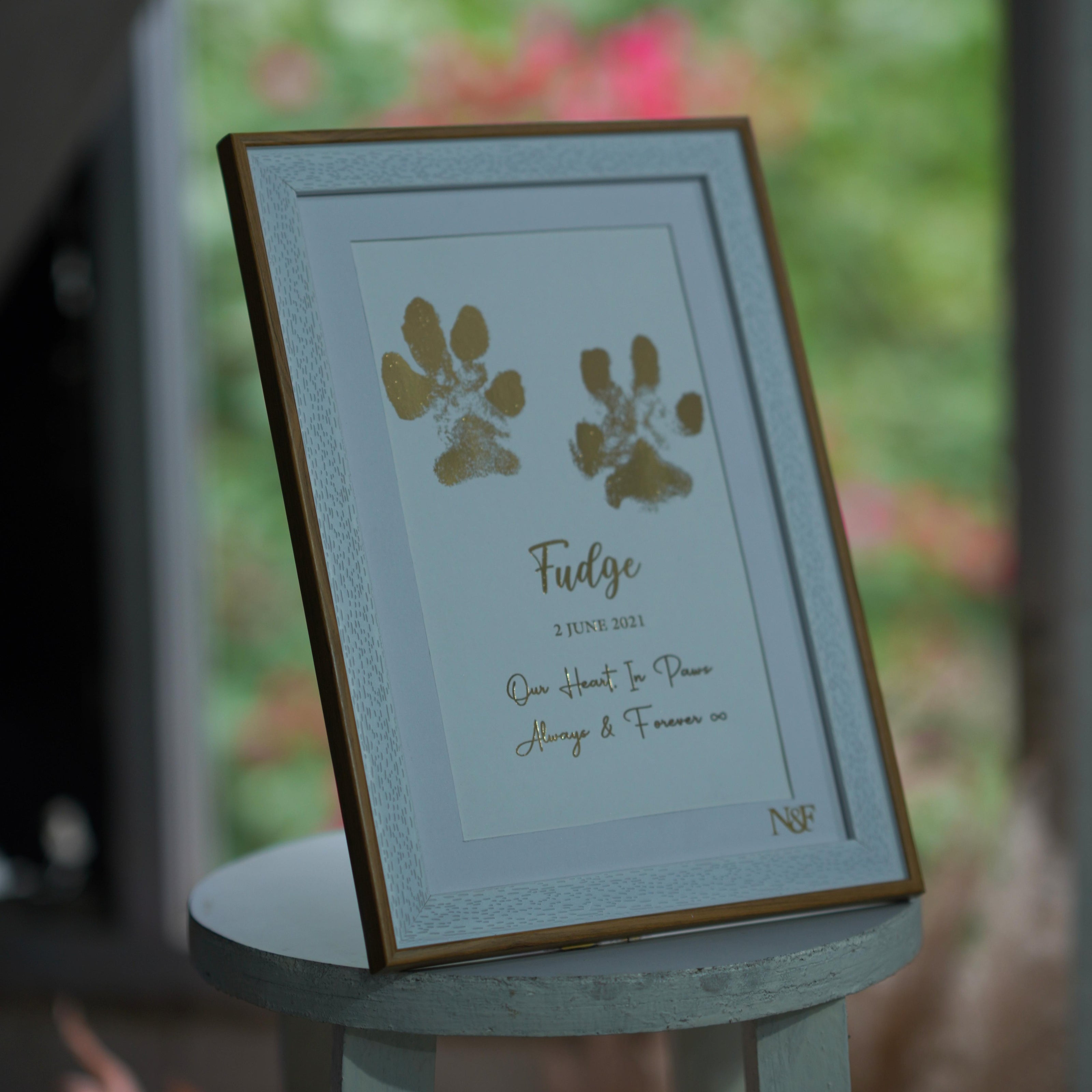 Paw Metallic Imprints Frame for Pets - Kit Included