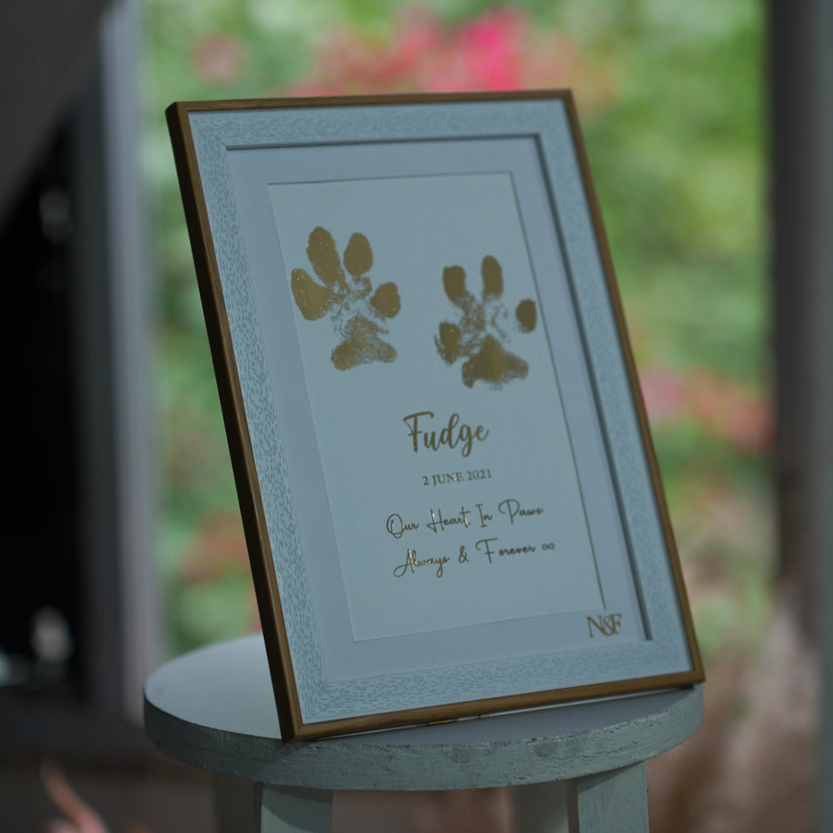 Paw Metallic Imprints Frame for Pets - Kit Included