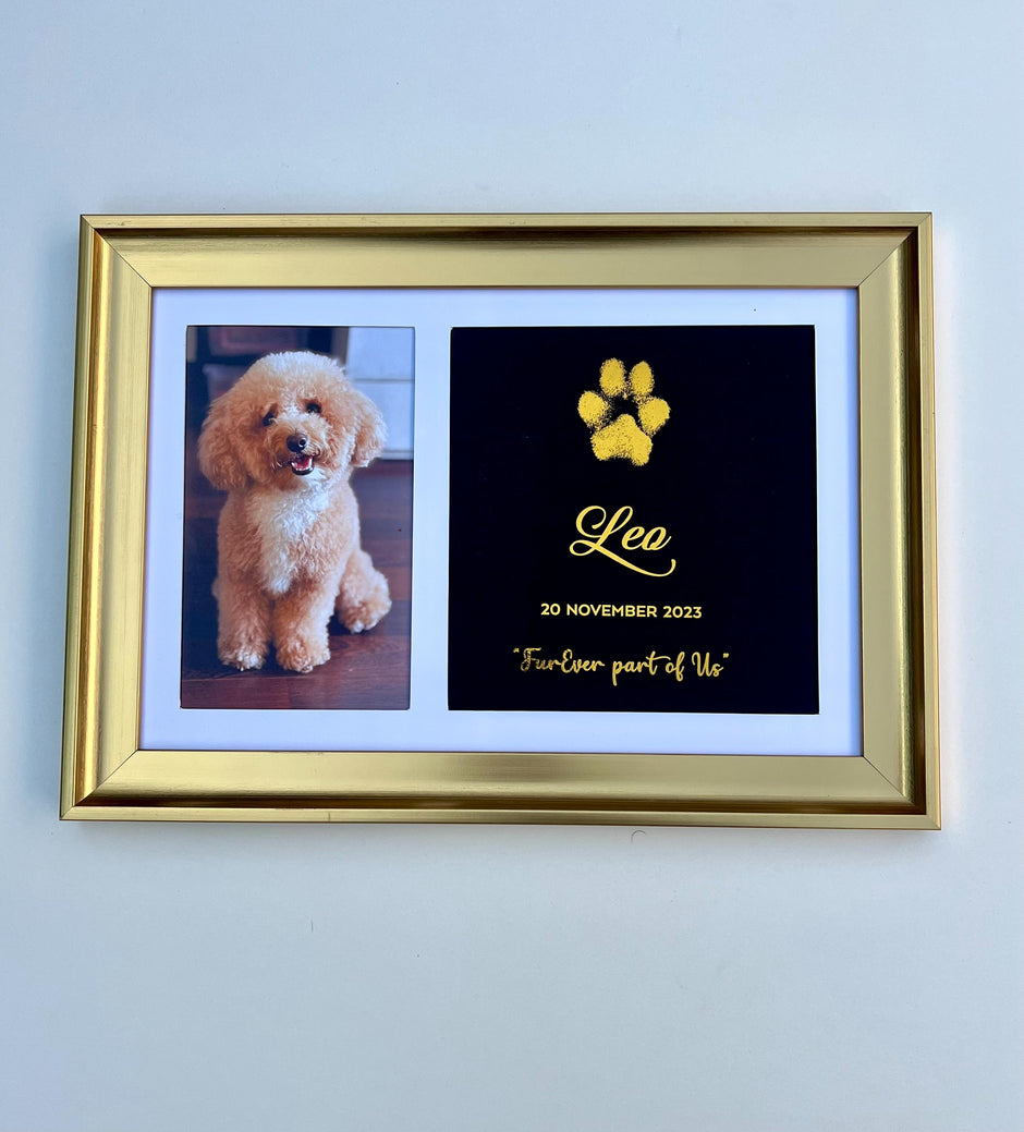 Paw Metallic Imprints Frame for Pets - Kit Included