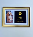 Paw Metallic Imprints Frame for Pets - Kit Included