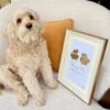 Paw Metallic Imprints Frame for Pets - Kit Included